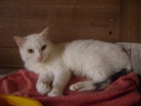 DSC05045.JPG