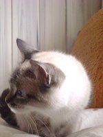 DSC05073.JPG