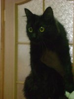 DSC05123.JPG