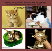 Безымянный.png