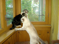 DSC04076.JPG