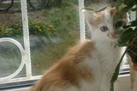 DSC00630.JPG