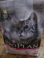 DSC05201.JPG
