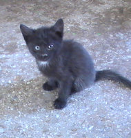 PIC_0097.jpg