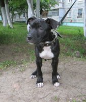 питёныш 024.JPG