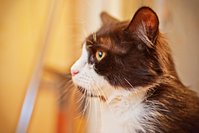 IMG_4676.jpg
