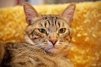 IMG_4749.jpg