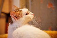 IMG_4793.jpg