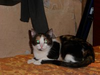 SAM_0077.JPG