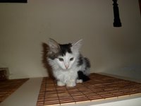 SAM_0015.JPG