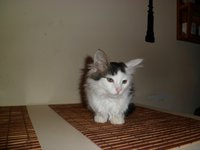 SAM_0016.JPG