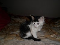 SAM_0026.JPG