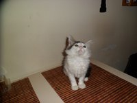 SAM_0018.JPG