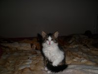 SAM_0023.JPG