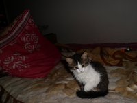 SAM_0024.JPG