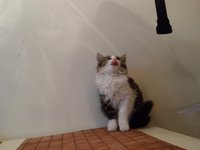 SAM_0042.JPG