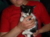 SAM_0055.JPG