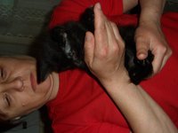 SAM_0065.JPG