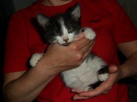 SAM_0068.JPG
