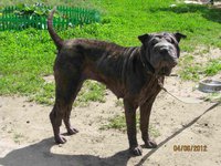 фото 04.06 137.jpg