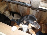 SAM_0153.JPG