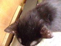 DSC05328.JPG