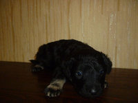 20120611113934_P1010394.JPG