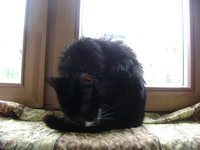 DSC05410.JPG