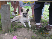 IMG_0856.JPG