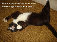 DSC04449.jpg