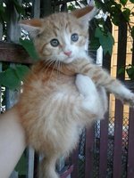 2012-06-17 12.30.18-1.jpg