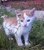 2012-06-17 12.32.36-1.jpg