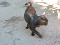 SAM_0206.JPG
