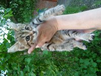 SAM_0240.JPG