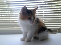 SAM_0217.JPG