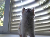 SAM_0225.JPG