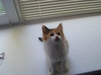 SAM_0226.JPG
