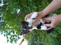 SAM_0234.JPG