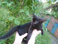 SAM_0249.JPG