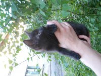 SAM_0251.JPG
