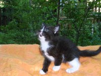 SAM_0258.JPG