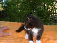 SAM_0260.JPG
