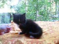 SAM_0262.JPG