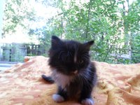 SAM_0267.JPG