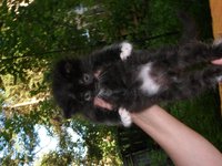 SAM_0270.JPG