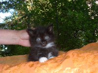 SAM_0274.JPG