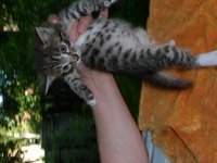SAM_0278.JPG