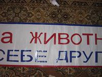 IMG_6309.JPG