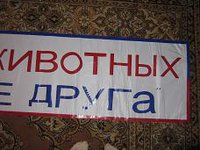 IMG_6310.JPG