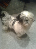 20120620220619_0131.jpg